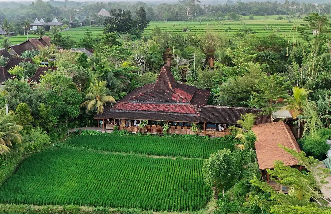 Ubud Art Resort By Wedja-1