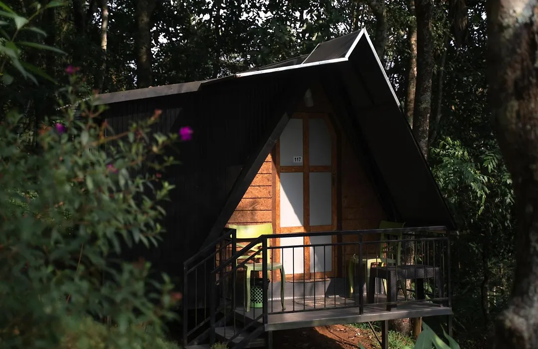 Garden Of Eden-Thottam Munnar-Hiking And Camping-1