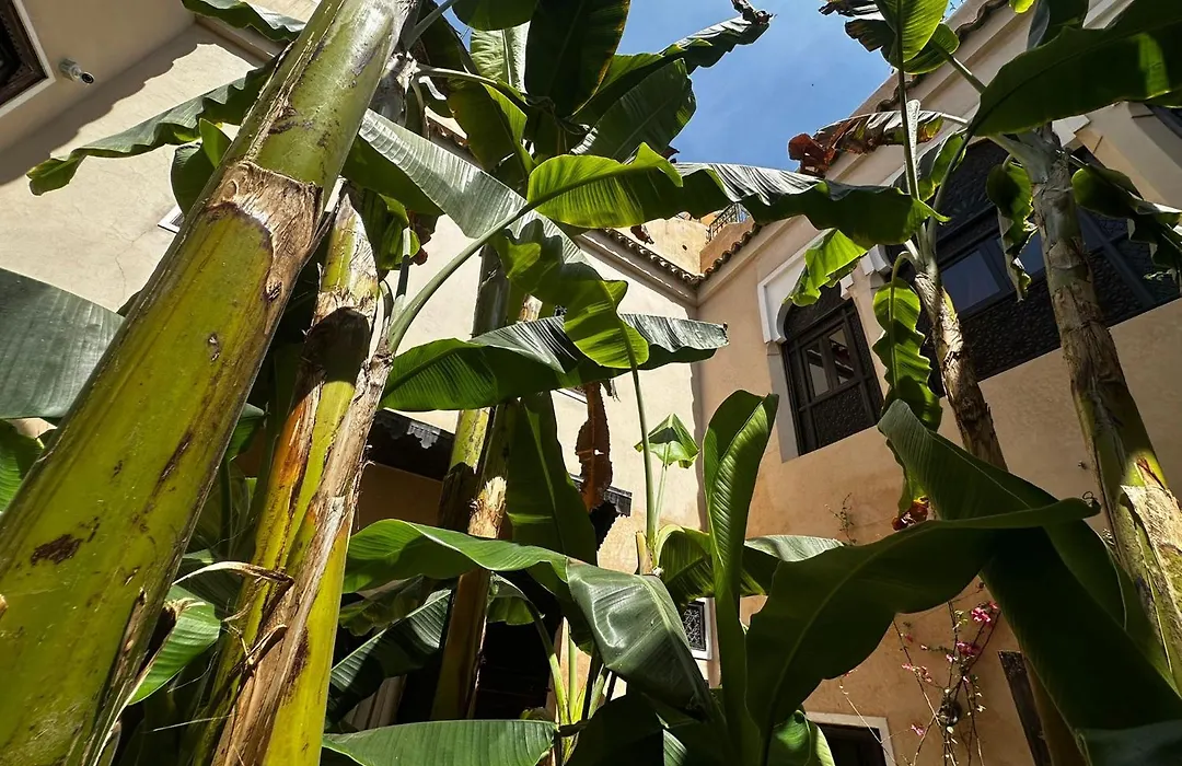 Riad Bamileke-1