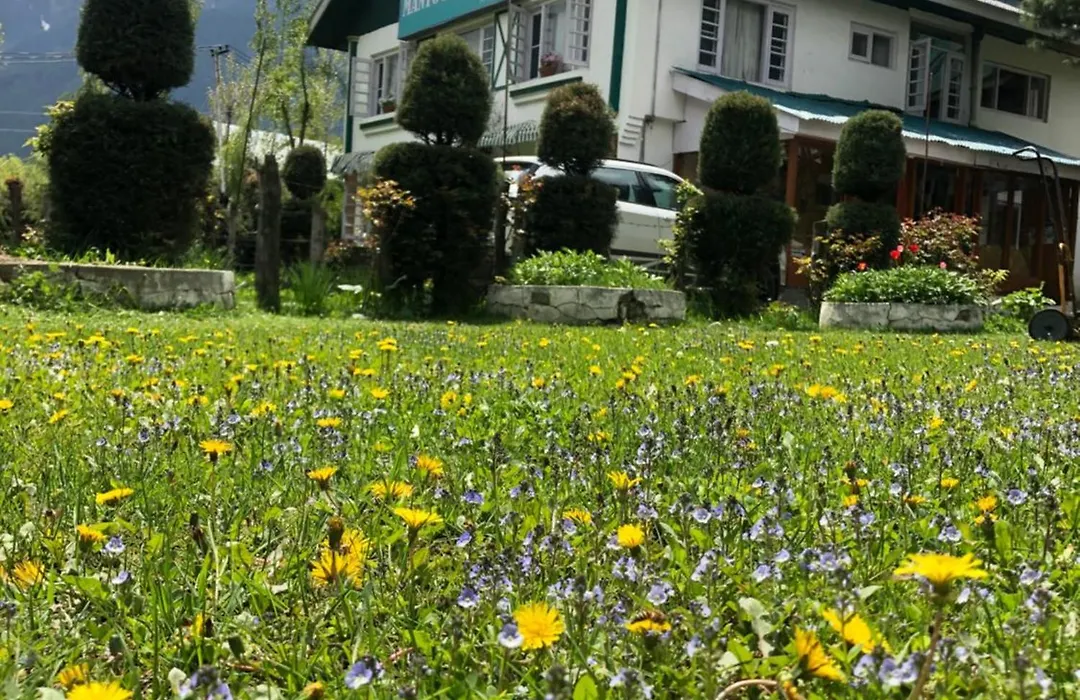 Mantoo Cottages-1