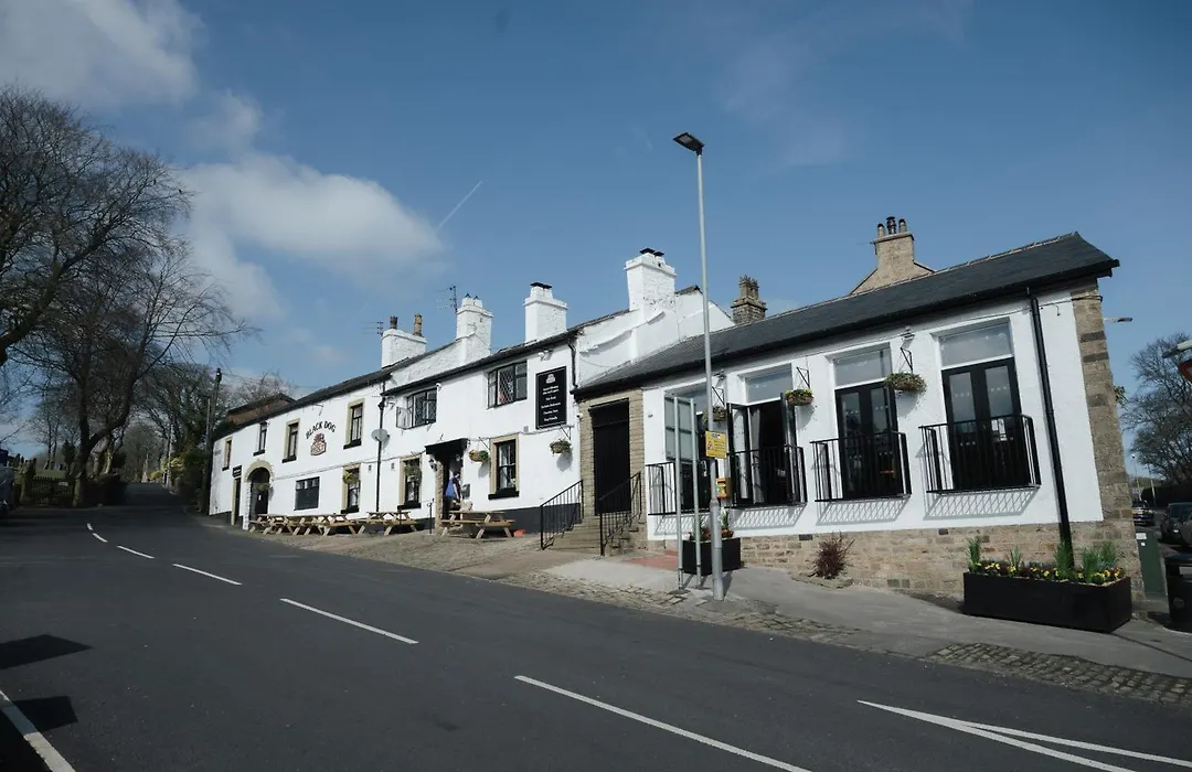 Black Dog Inn-1