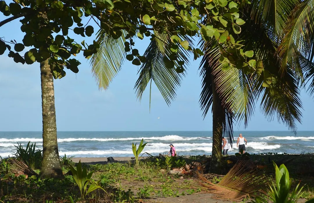 Hotel Pura Natura Beachfront Tortuguero-1