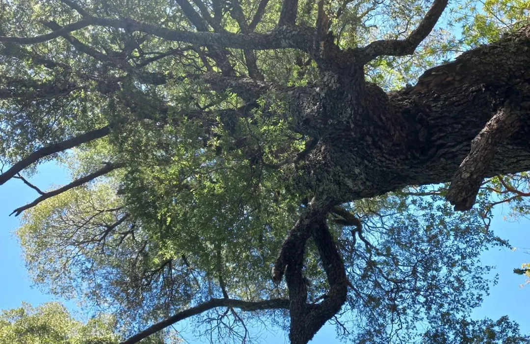 Refugio Gaia-1