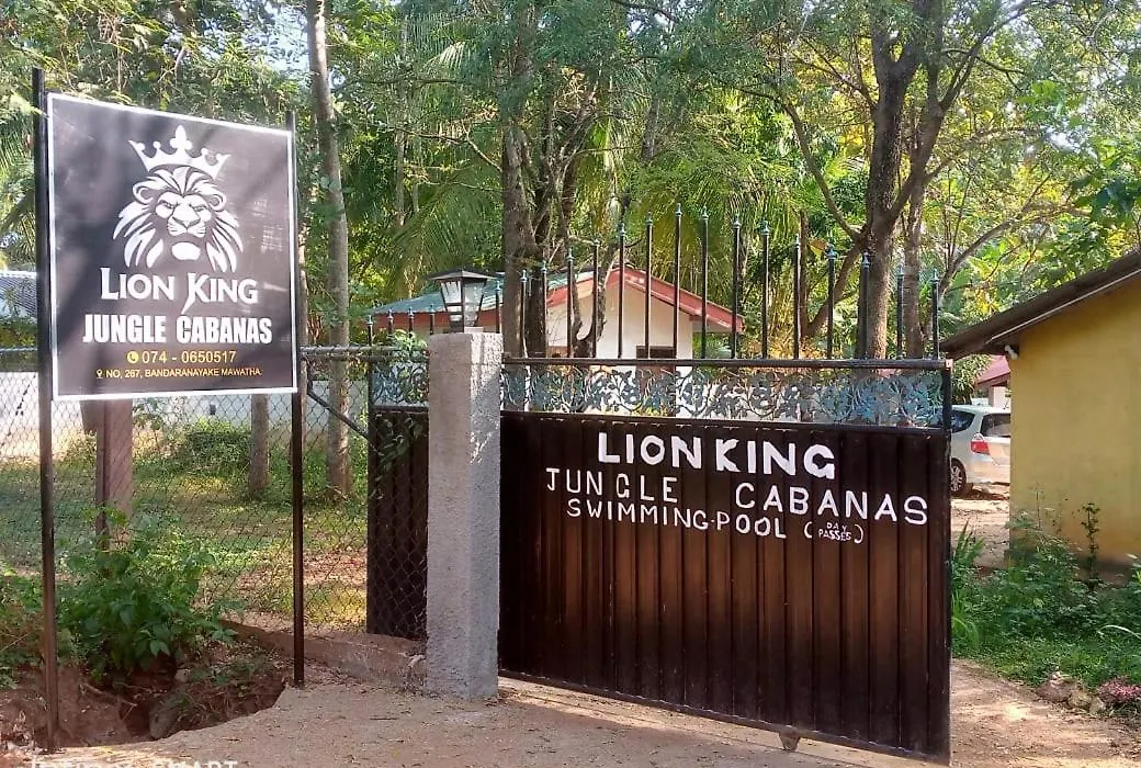 Lion King Jungle Cabanas-1