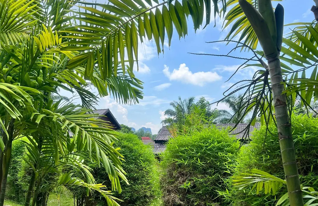 Palm Kiri Aonang Resort-1