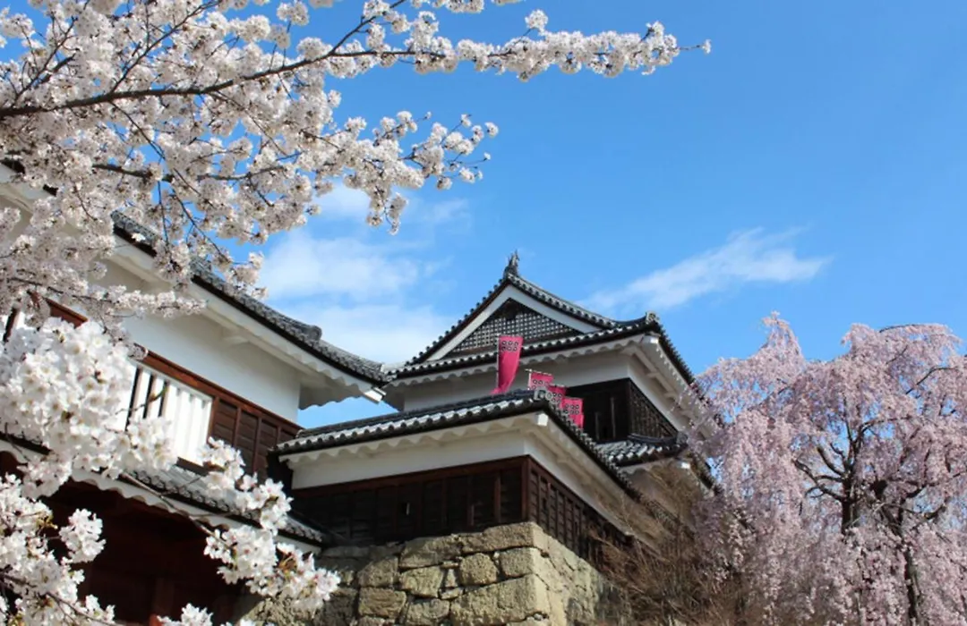 Toyoko Inn Ueda Ekimae-1
