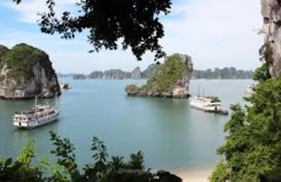 Khách sạn 2 sao trung tâm Khu Du Lịch Vườn Đào - Bãi Cháy - Hạ Long-1