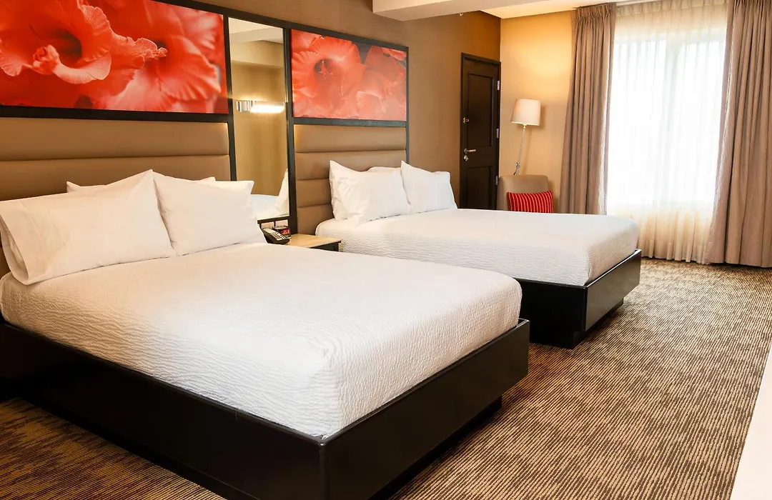 Hilton Garden Inn Guatemala City-1