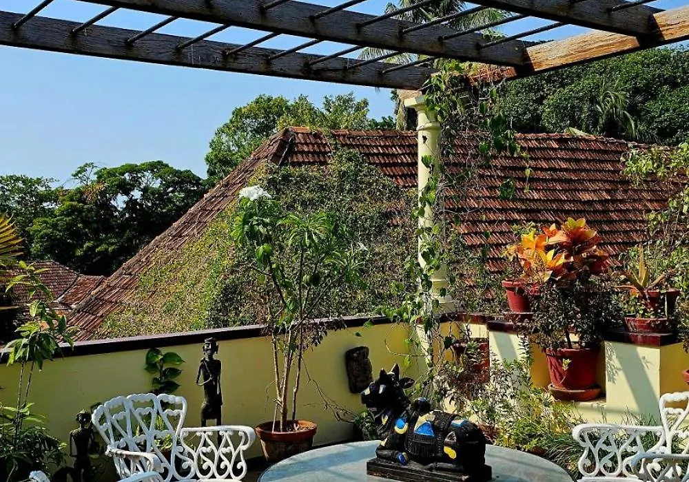Raintree Lodge-1