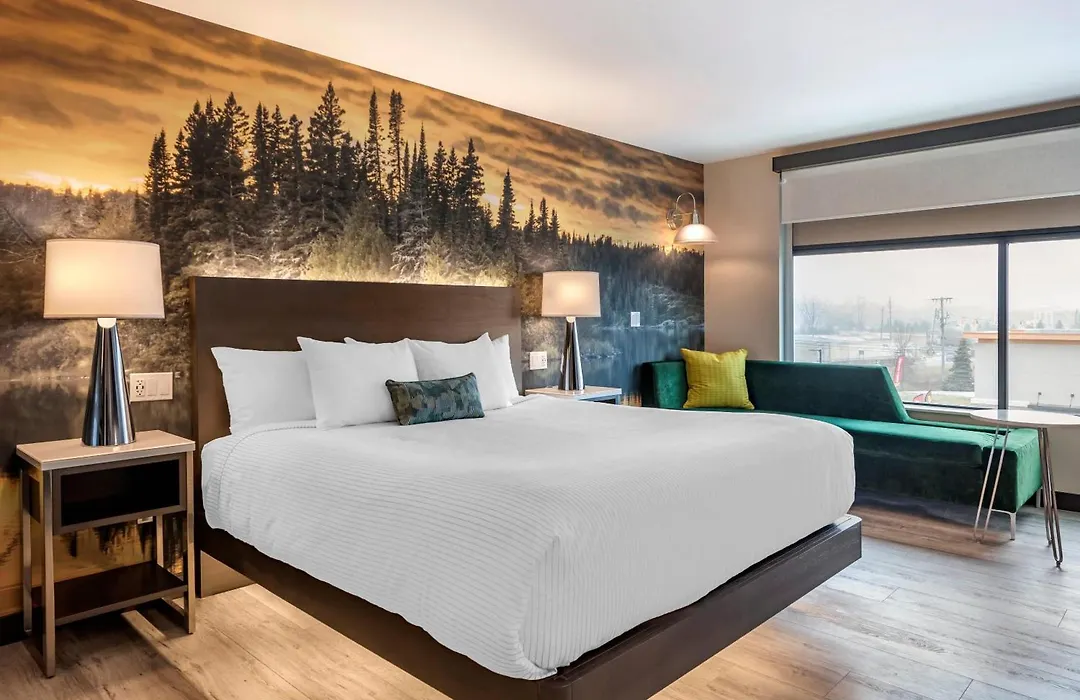 Cambria Hotel Shelby Township - Detroit Utica-1