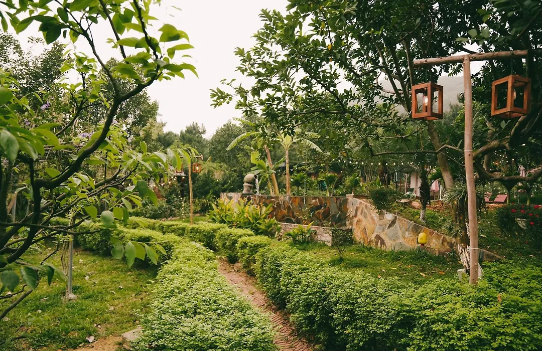 Căn Gỗ-1