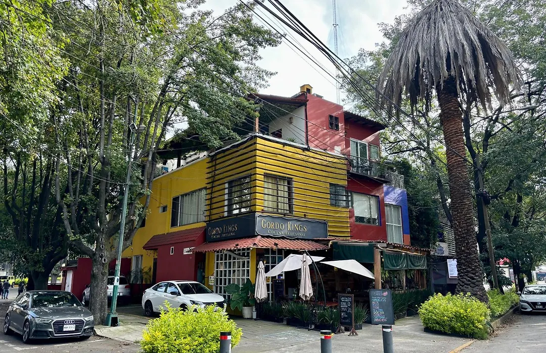 Collection O Casa Anzures Thematic, Mexico City-1