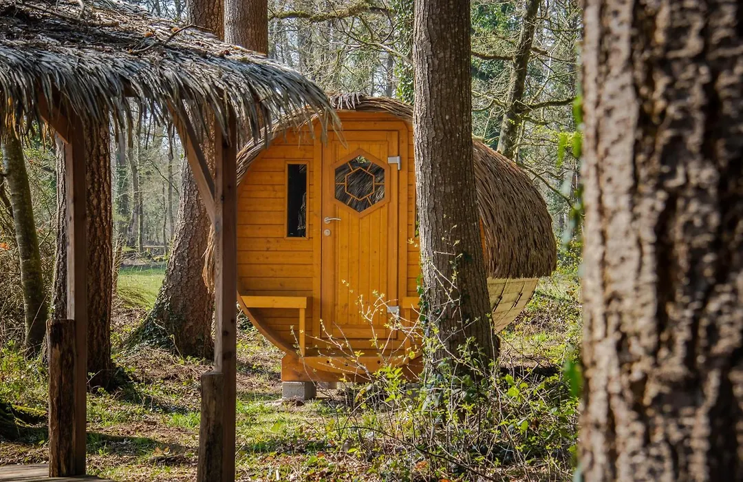 Insolite dans les arbres Les Ormes, Epiniac-1