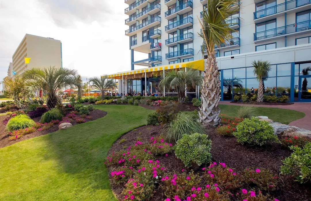 Hyatt House Virginia Beach / Oceanfront-1