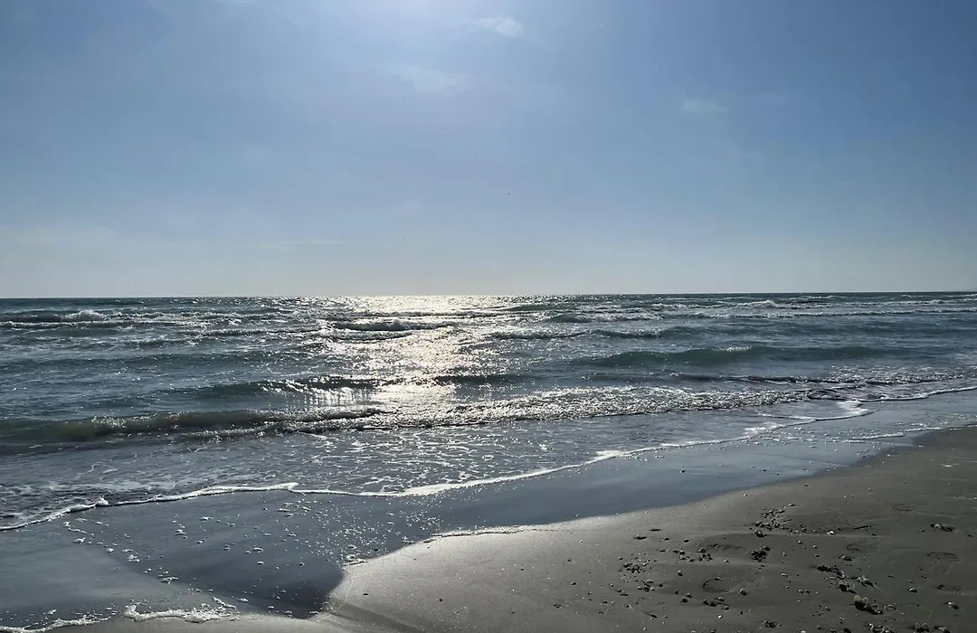 Apartments Excelsior Mamaia Nord-1