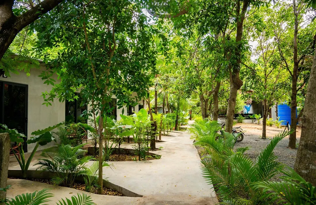 River Nest Hostel-1
