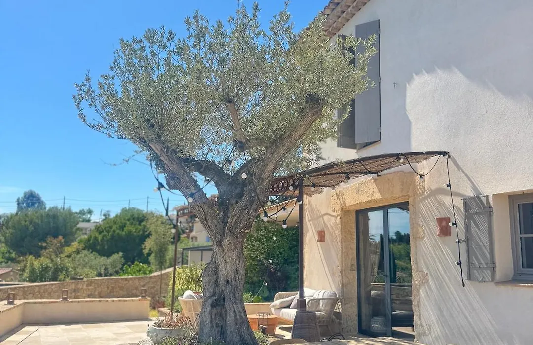 La Bastide Des Culs-Rousset-1