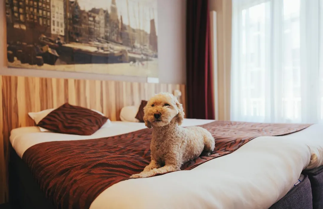 Boutique Hotel Asterisk, A Family Run Hotel-1