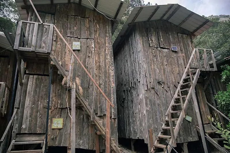 Bayrams Tree Houses-1