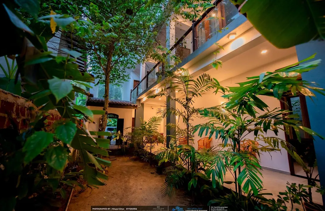 Blue Whales Hotel-1