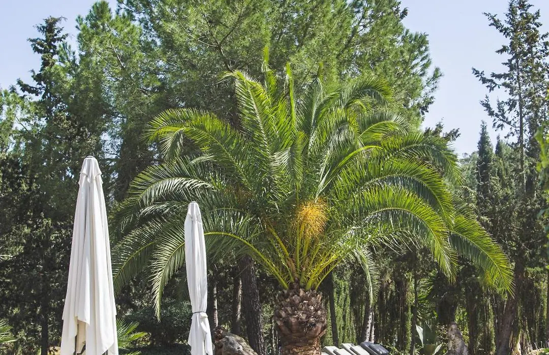 Agroturismo Son Foguero - Adults Only-1