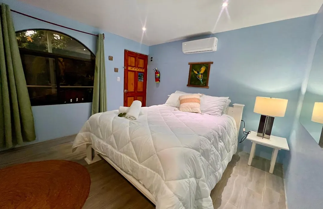 Peace Of Paradise Breakfast Included Free Manuel Antonio Park Tour-1