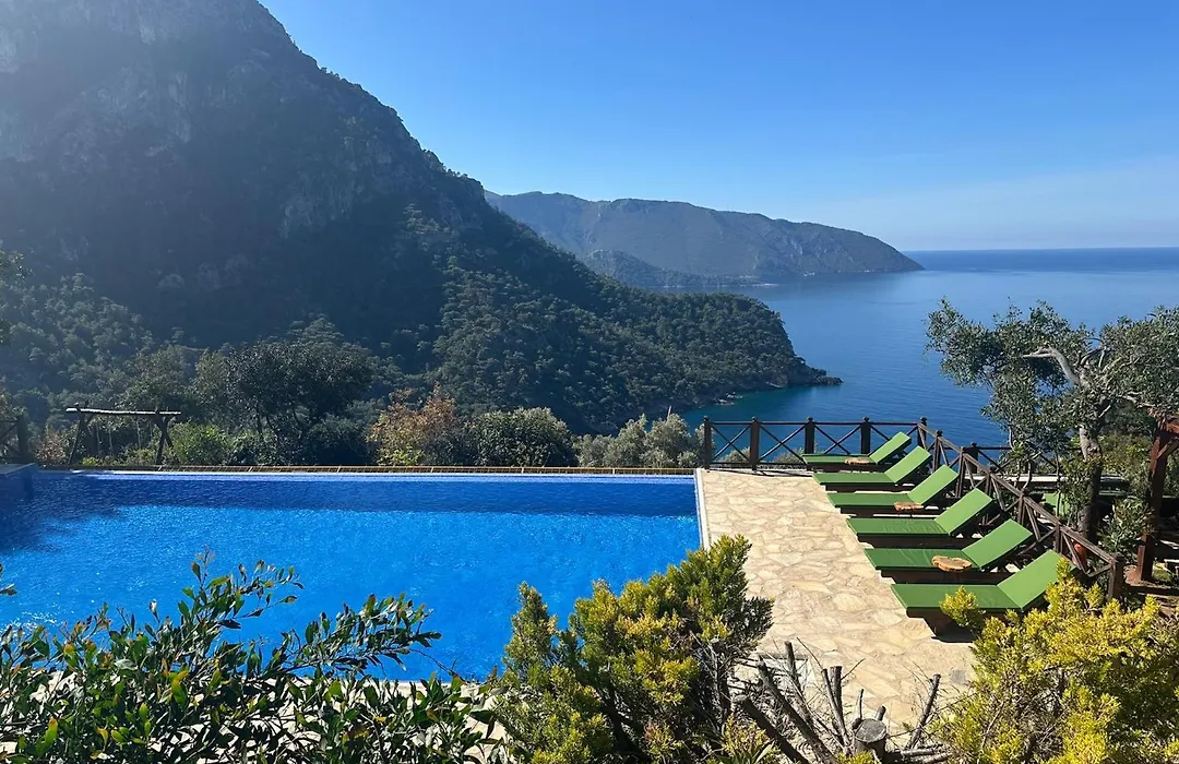 Olive Garden Kabak-1