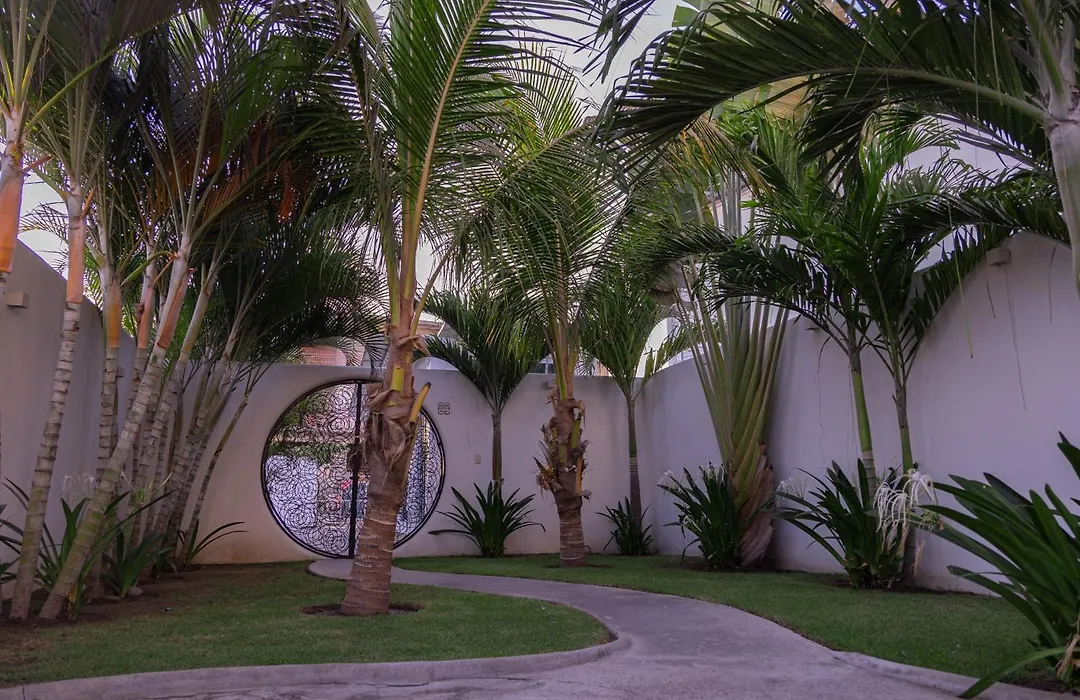 El Sho - Hotel orgánico-1