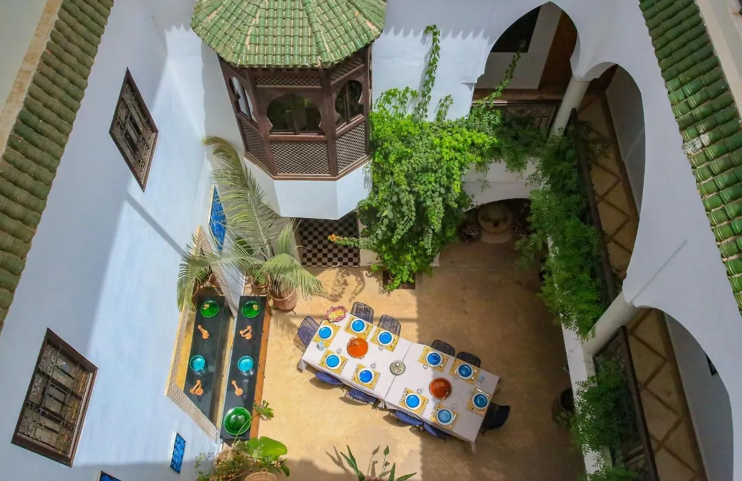 Riad Tampacao-1