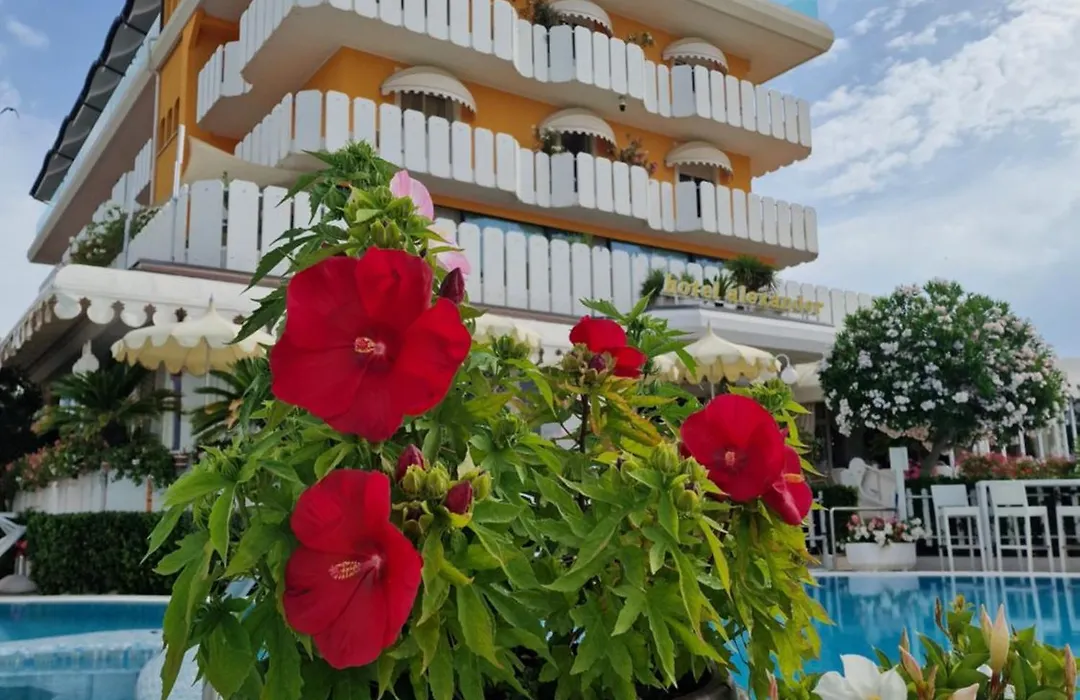 Hotel Alexander-1