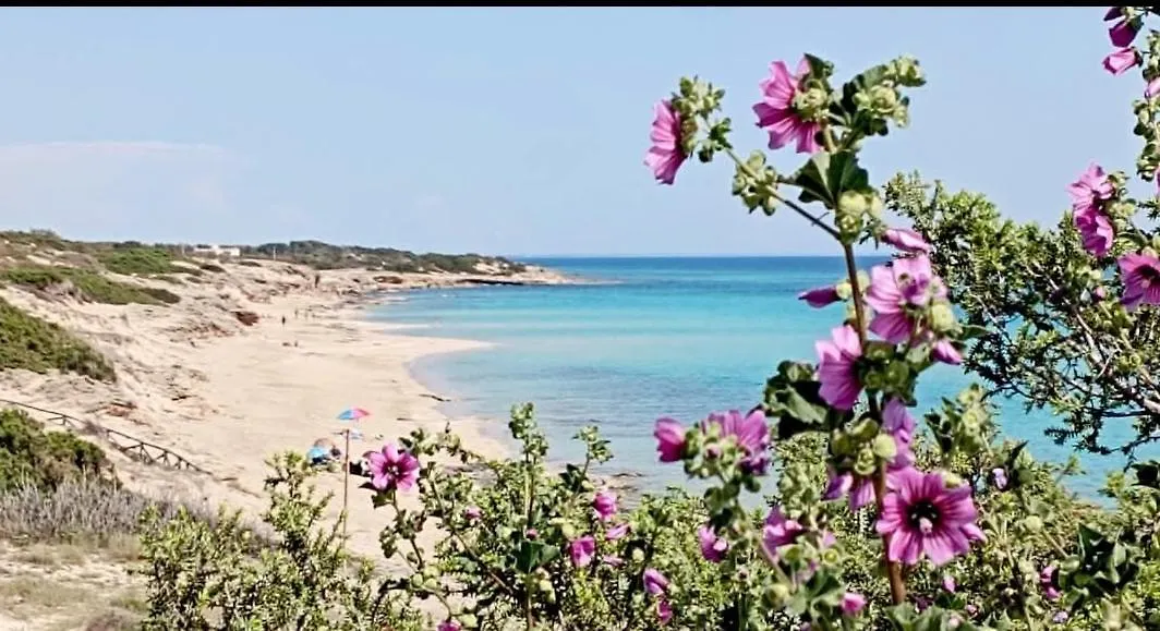 B&B Sole Mare Vento-1