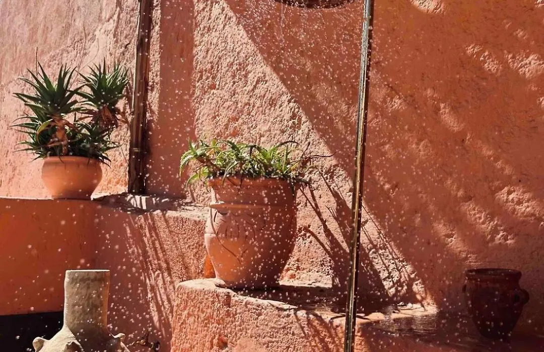 Riad Majwril-1