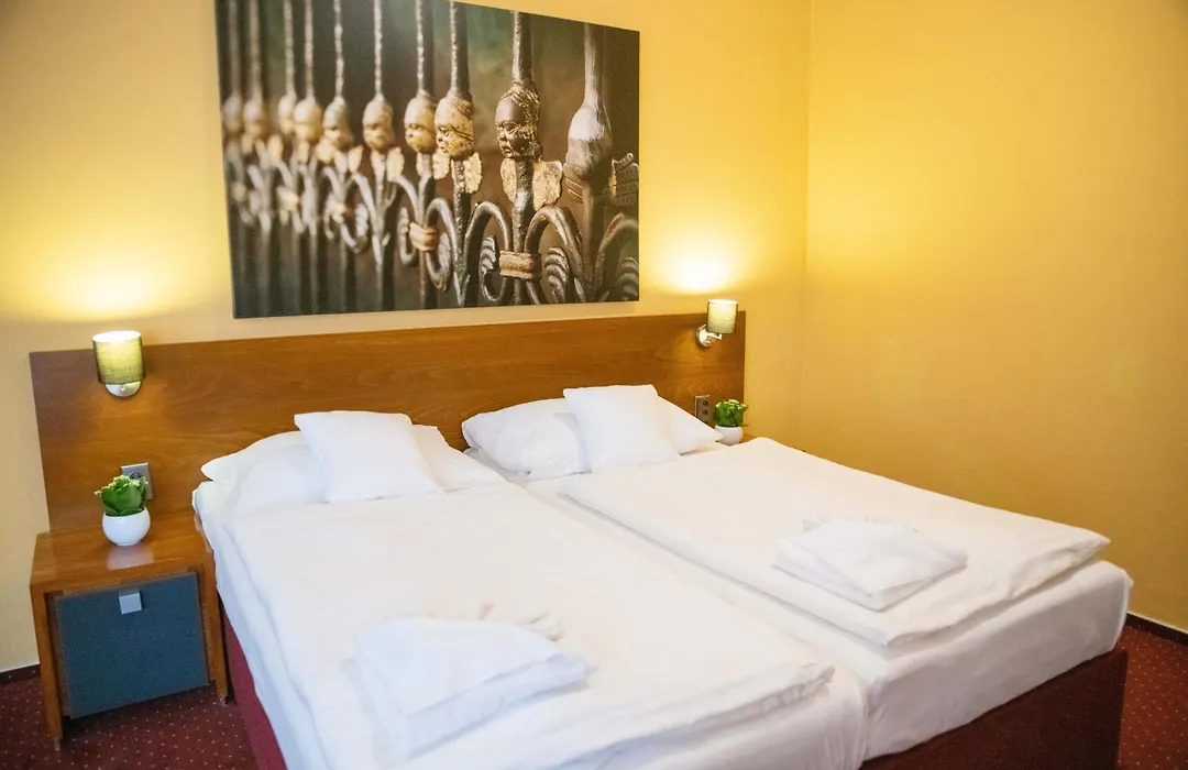 Hotel U Salzmannů-1