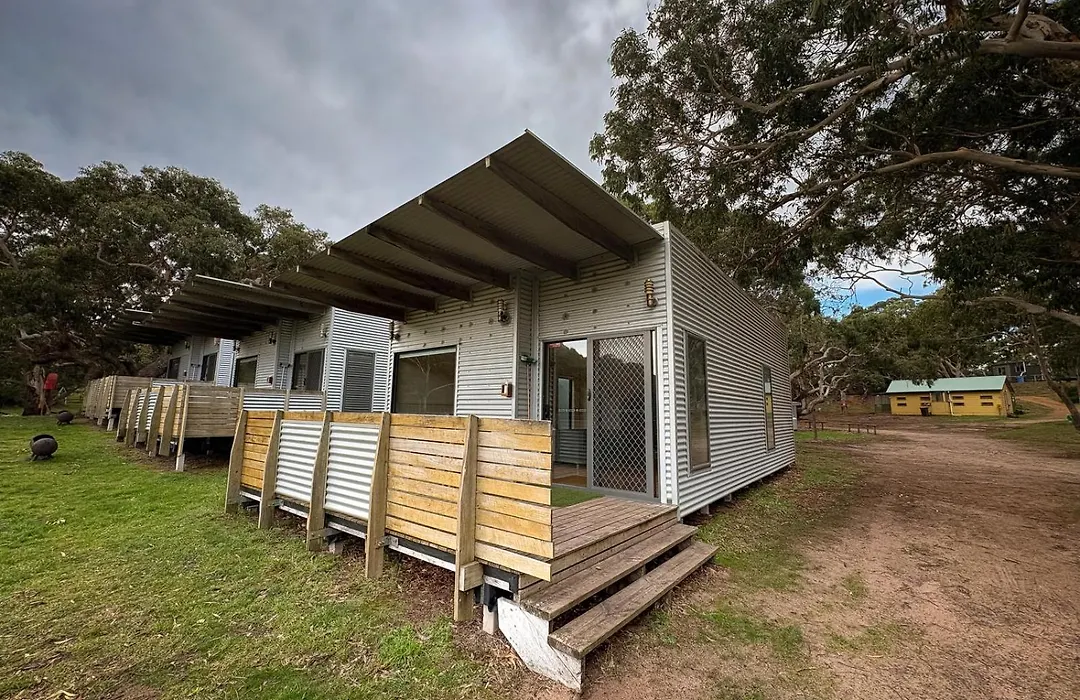 Bimbi Park - Camping Under Koalas-1