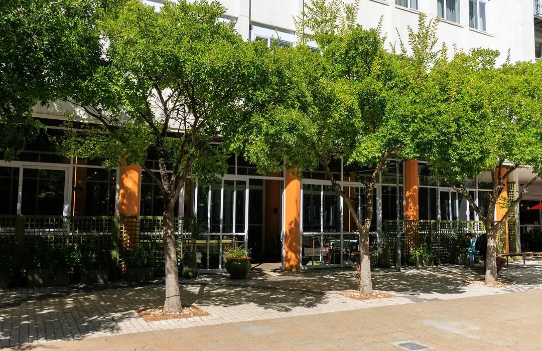 Onomo Hotel Foreshore-1