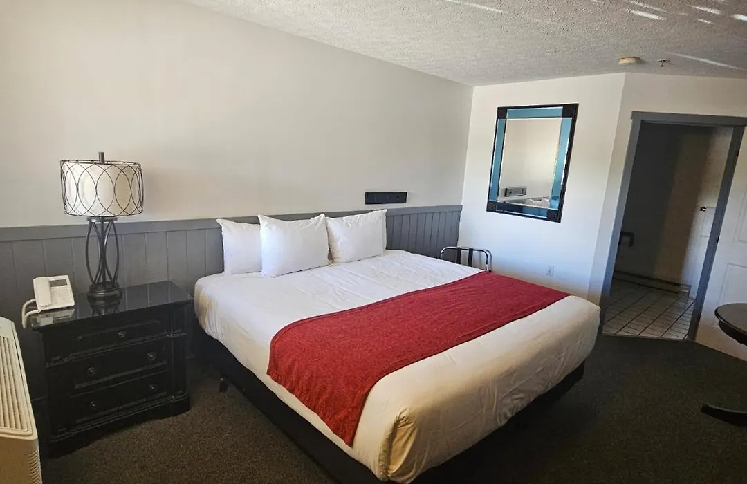 Baja Motel-1