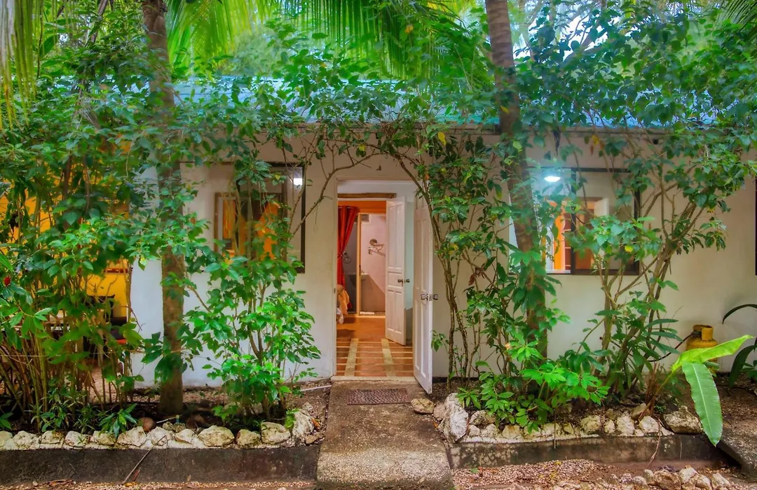 Jungles Edge Hotel, Jiu Jitsu, Muay Thai Retreat Center-1