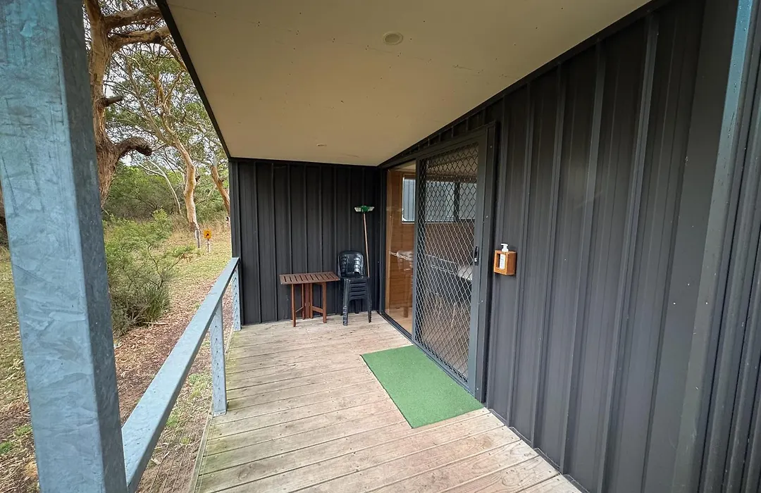 Bimbi Park - Camping Under Koalas-1