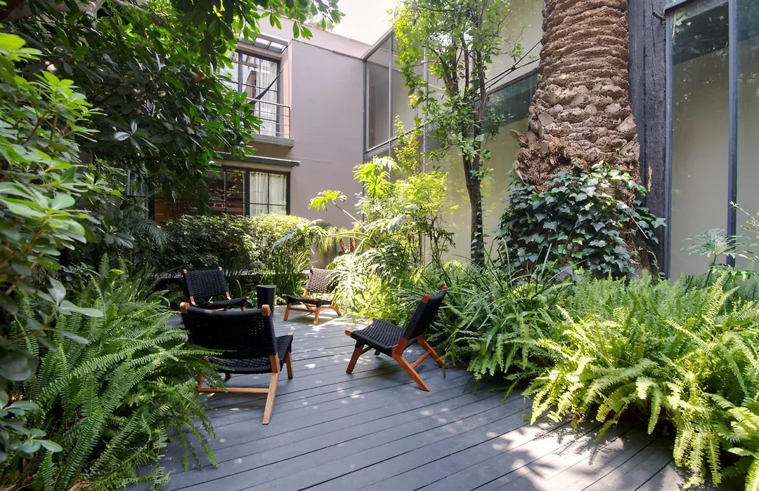 Livin Condesa-1
