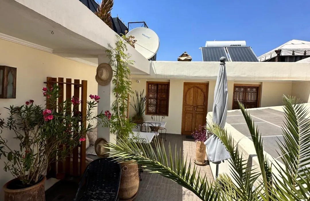 Riad Safina-1