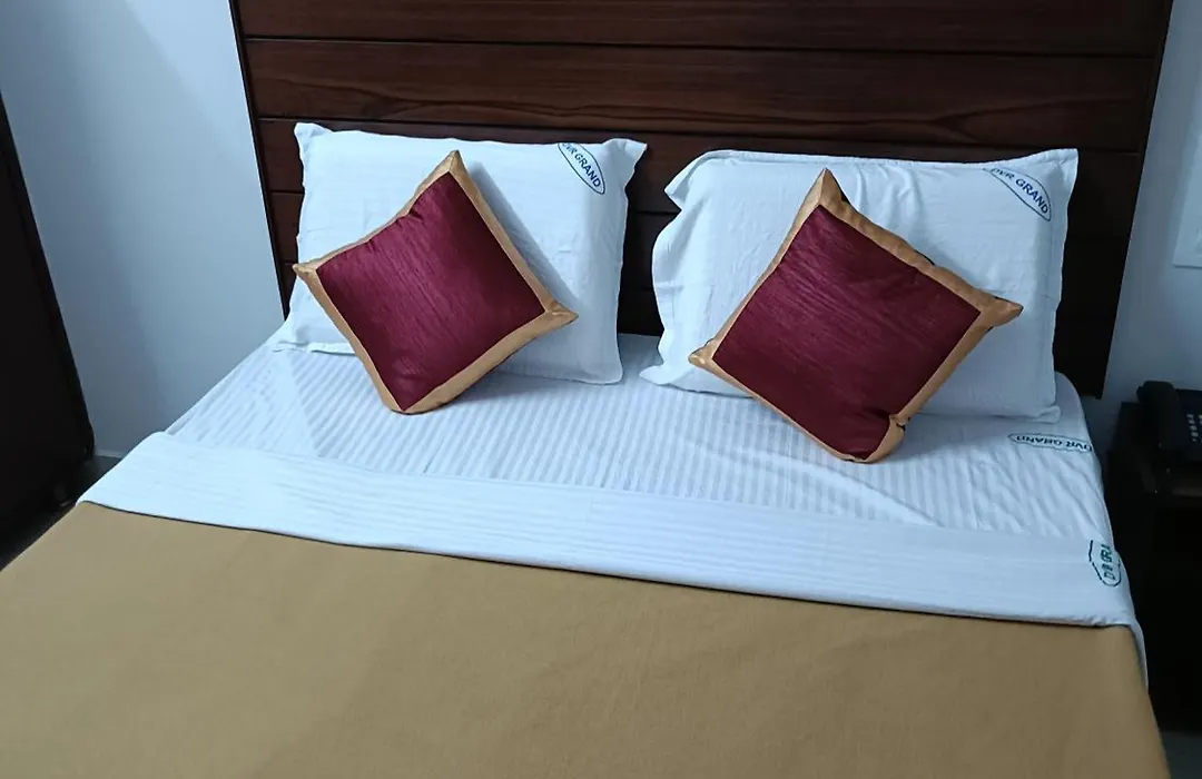 Hotel Aswini Grand Lodge-1