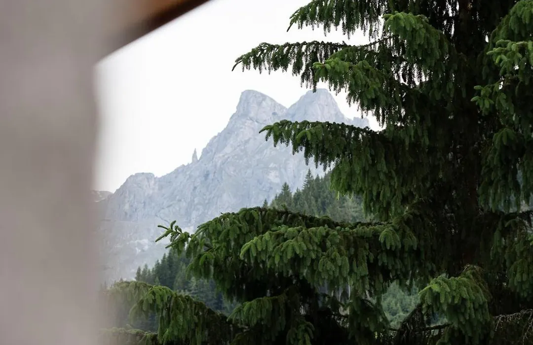 Gasthof Schoental-1