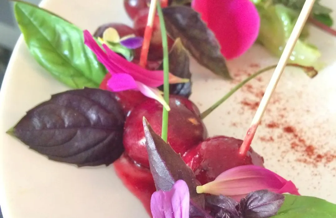 Le Jardin Secret Du Jardin Gourmand-1