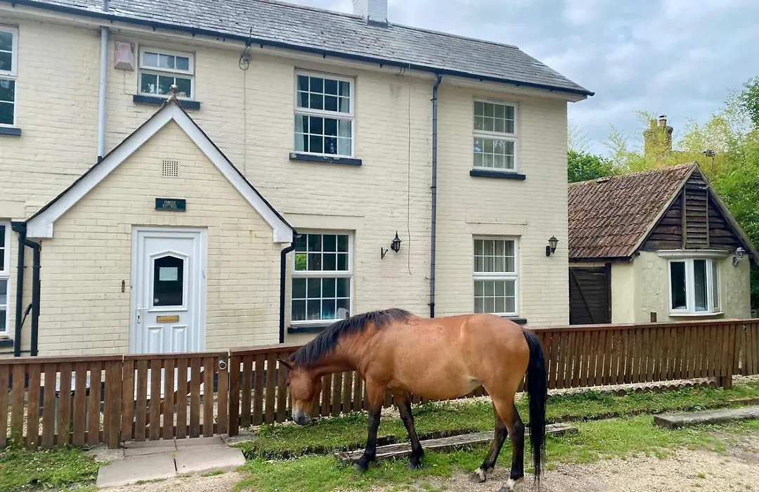 The Pigs' Pantry, Burley-1