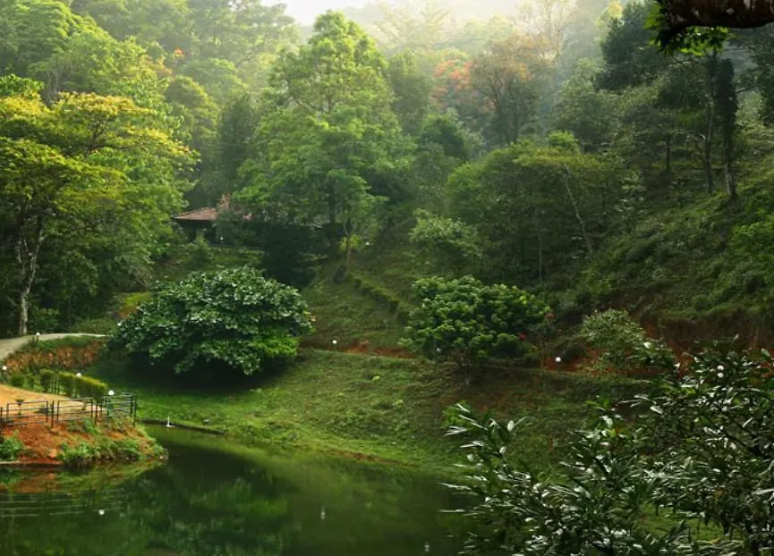 Rain Country Jungle Resort-1