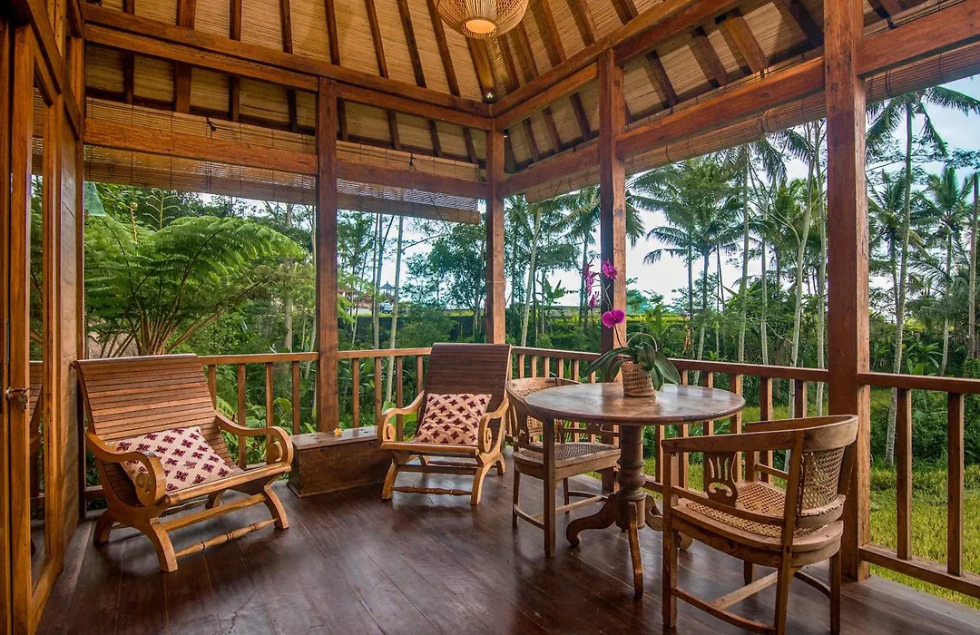 Dewi Tara Haven-1