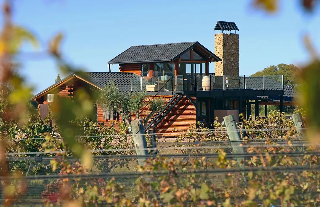 Martyniuk lodges entre viñedos-1
