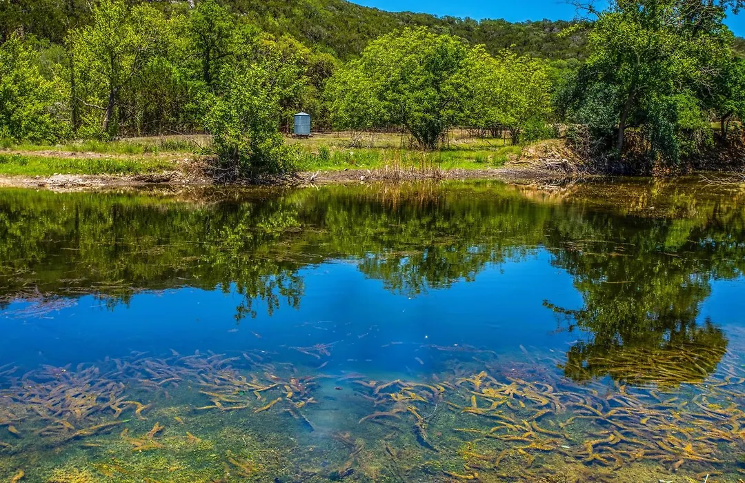 3H Ranch Mountain Retreat-1