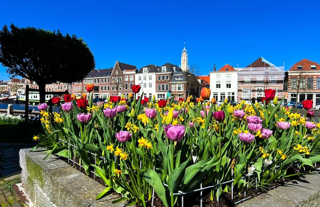 B&B De Amsterdamse Poort-1