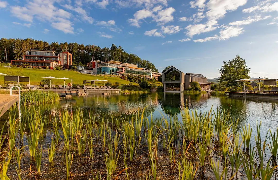 Pfalzblick Wald Spa Resort-1